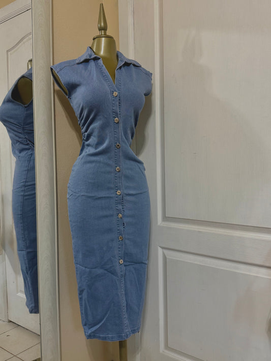 Riley button up dress