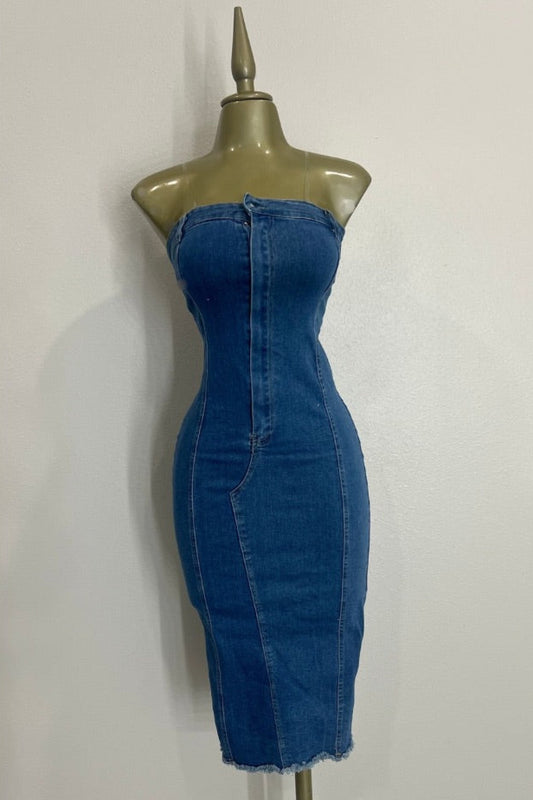 Naomi Denim Dress (medium denim)