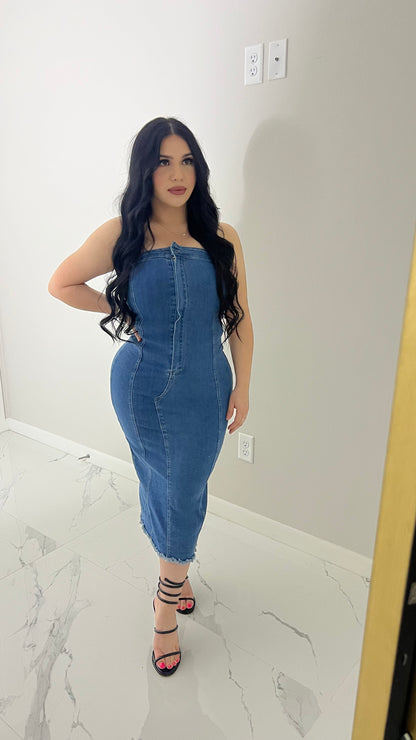 Naomi Denim Dress (medium denim)