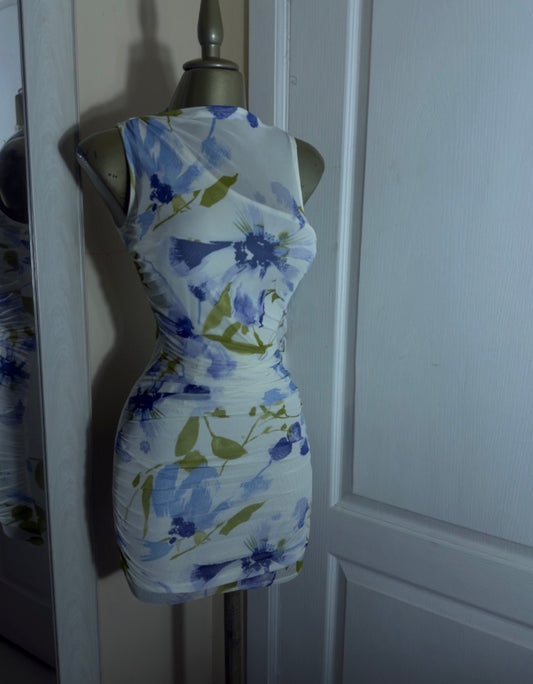 Paula blue dress
